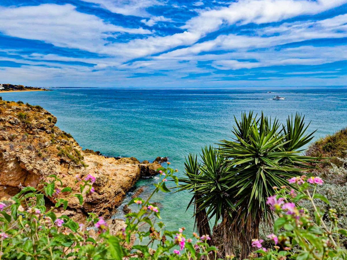Apartmán Jardins Do Mar - By Bedzy Albufeira Exteriér fotografie